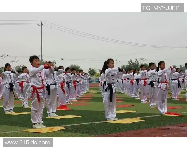 南京羽毛球队成长之路:从青涩起步到辉煌成就的纪实故事 南京羽毛球队成长之路:从青涩起步到辉煌成就的纪实故事