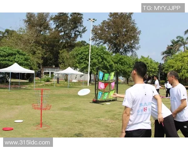 南京飞盘队领跑最新飞盘团队协作排行榜前十名精彩瞬间回顾